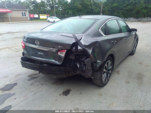 Photo 5 VIN: 1N4AL3AP8HC161107 - NISSAN ALTIMA 