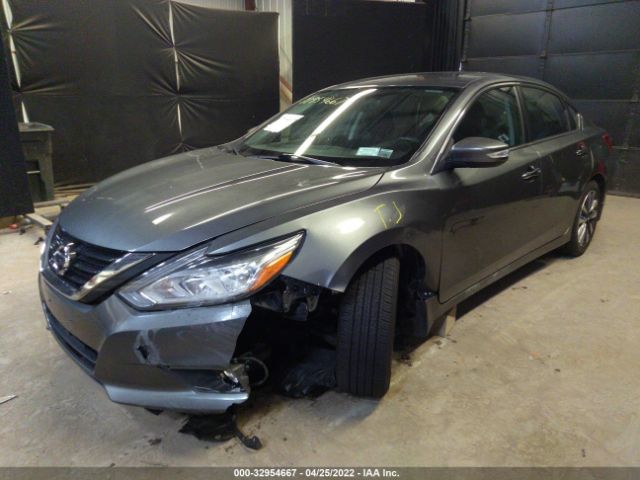 Photo 5 VIN: 1N4AL3AP8HC247839 - NISSAN ALTIMA 