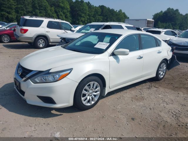 Photo 1 VIN: 1N4AL3AP9HC202053 - NISSAN ALTIMA 