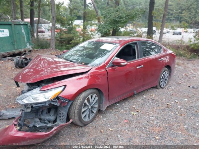 Photo 1 VIN: 1N4AL3APXHC176322 - NISSAN ALTIMA 