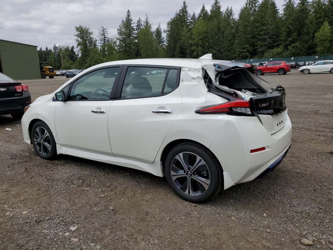 Photo 1 VIN: 1N4AZ1CP3LC307437 - NISSAN LEAF 