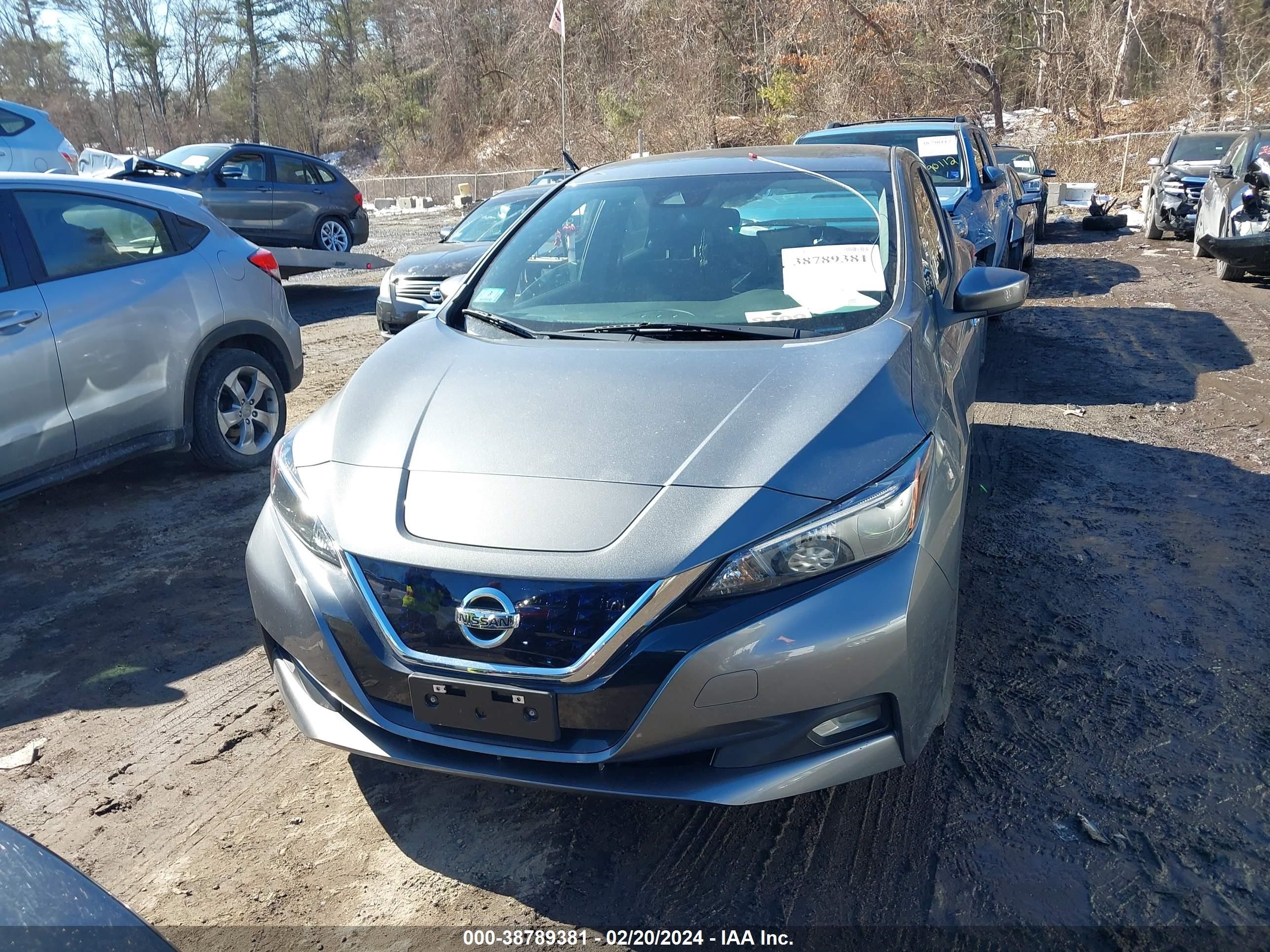 Photo 12 VIN: 1N4AZ1CP4LC301758 - NISSAN LEAF 