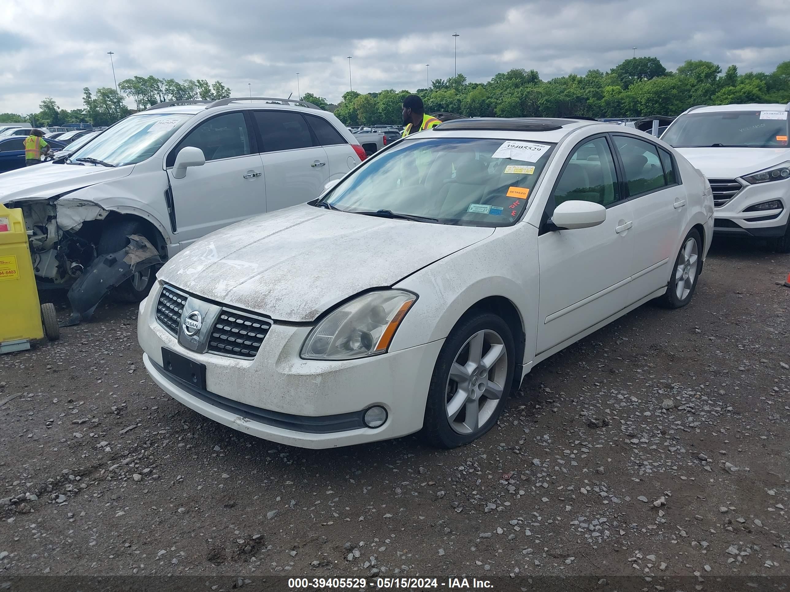 Photo 1 VIN: 1N4BA41E04C811315 - NISSAN MAXIMA 