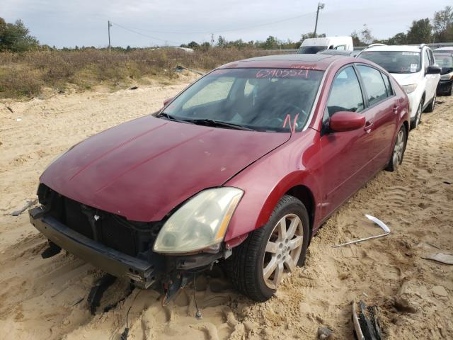 Photo 1 VIN: 1N4BA41E04C853516 - NISSAN MAXIMA SE 