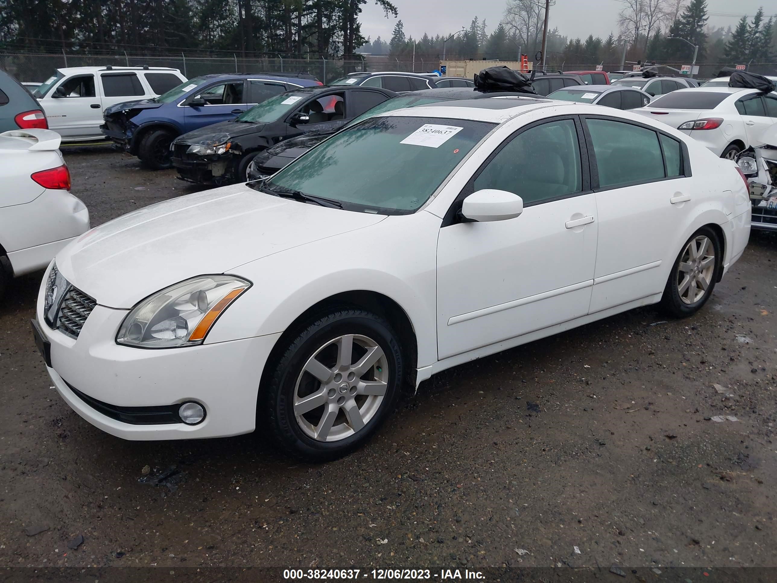 Photo 1 VIN: 1N4BA41E04C906036 - NISSAN MAXIMA 