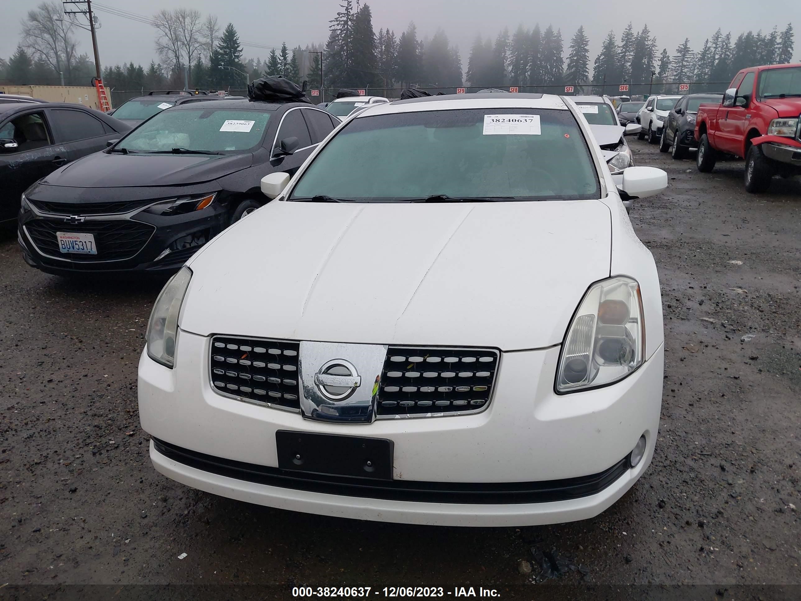 Photo 11 VIN: 1N4BA41E04C906036 - NISSAN MAXIMA 