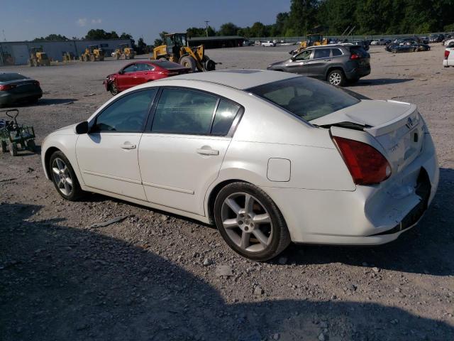 Photo 1 VIN: 1N4BA41E05C839357 - NISSAN MAXIMA SE 