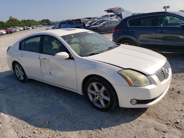 Photo 3 VIN: 1N4BA41E05C839357 - NISSAN MAXIMA SE 