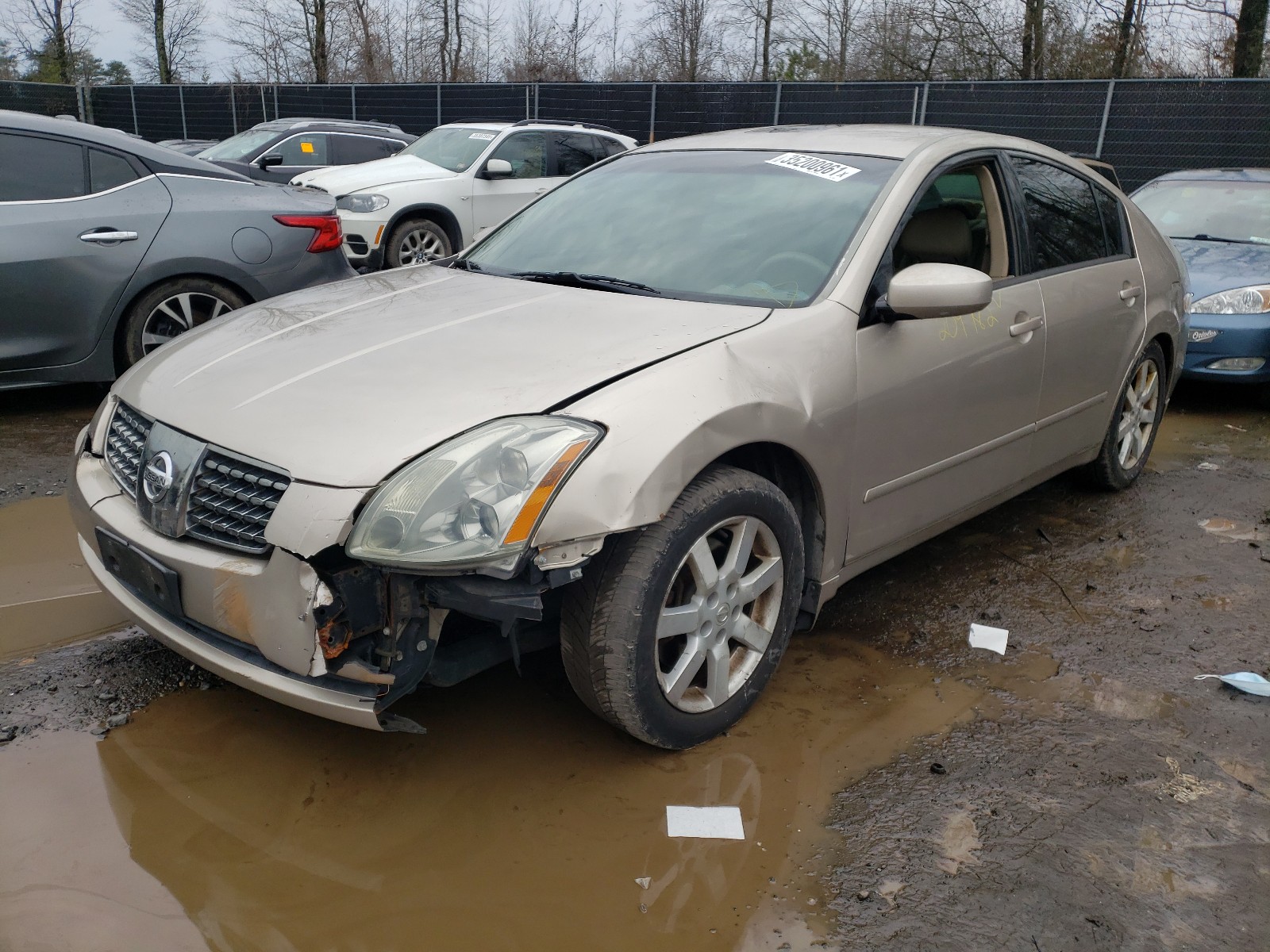 Photo 1 VIN: 1N4BA41E05C860905 - NISSAN MAXIMA SE 