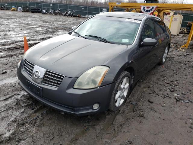 Photo 1 VIN: 1N4BA41E06C833947 - NISSAN MAXIMA SE 