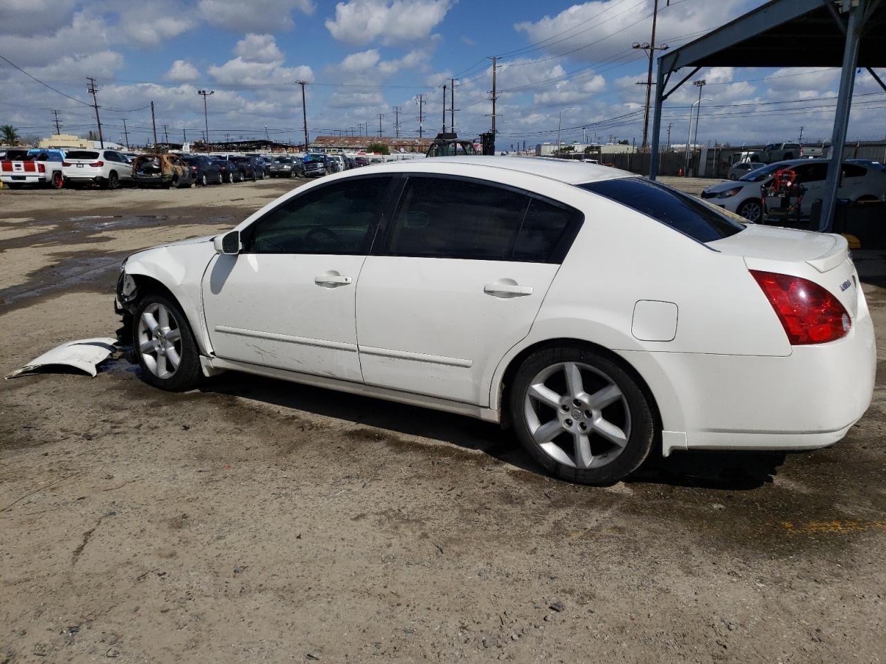 Photo 1 VIN: 1N4BA41E16C863264 - NISSAN MAXIMA 