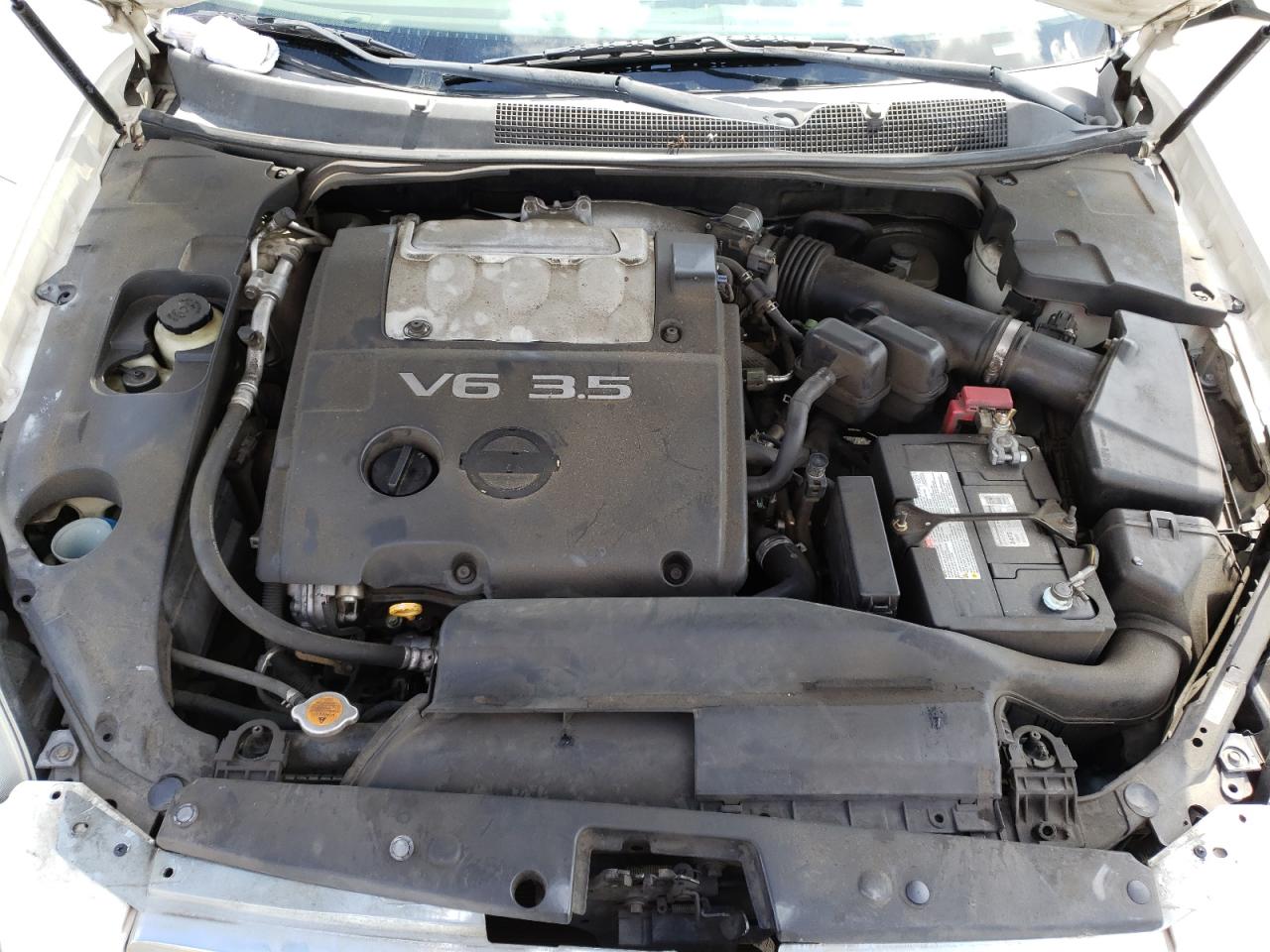 Photo 10 VIN: 1N4BA41E16C863264 - NISSAN MAXIMA 