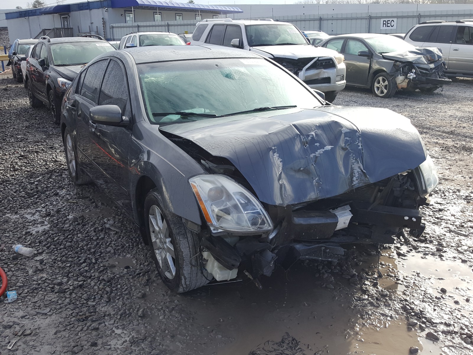 Photo 0 VIN: 1N4BA41E25C848822 - NISSAN MAXIMA SE 