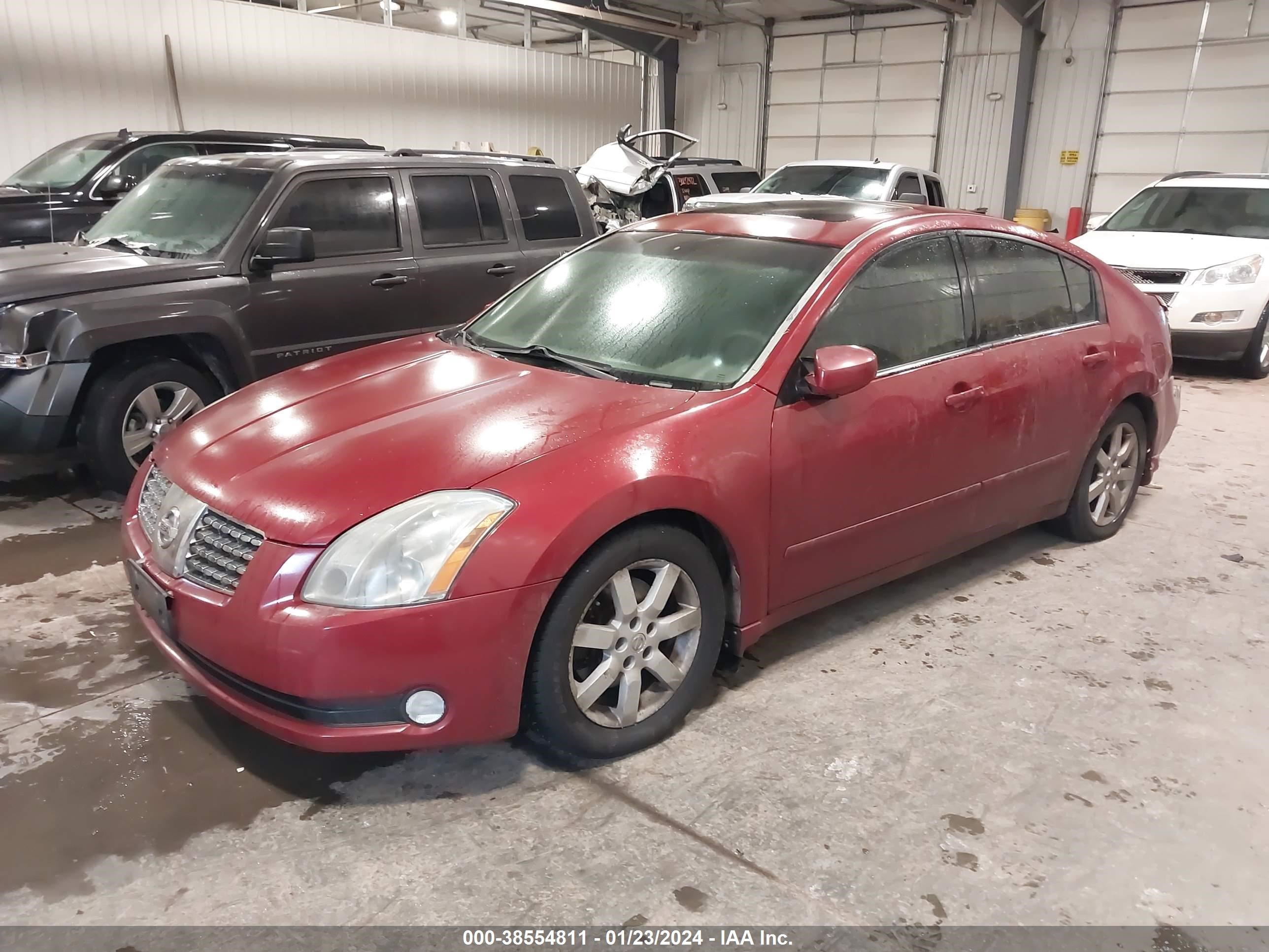 Photo 1 VIN: 1N4BA41E26C831830 - NISSAN MAXIMA 