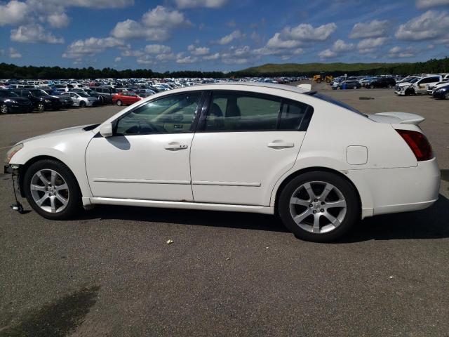 Photo 1 VIN: 1N4BA41E27C824491 - NISSAN MAXIMA SE 