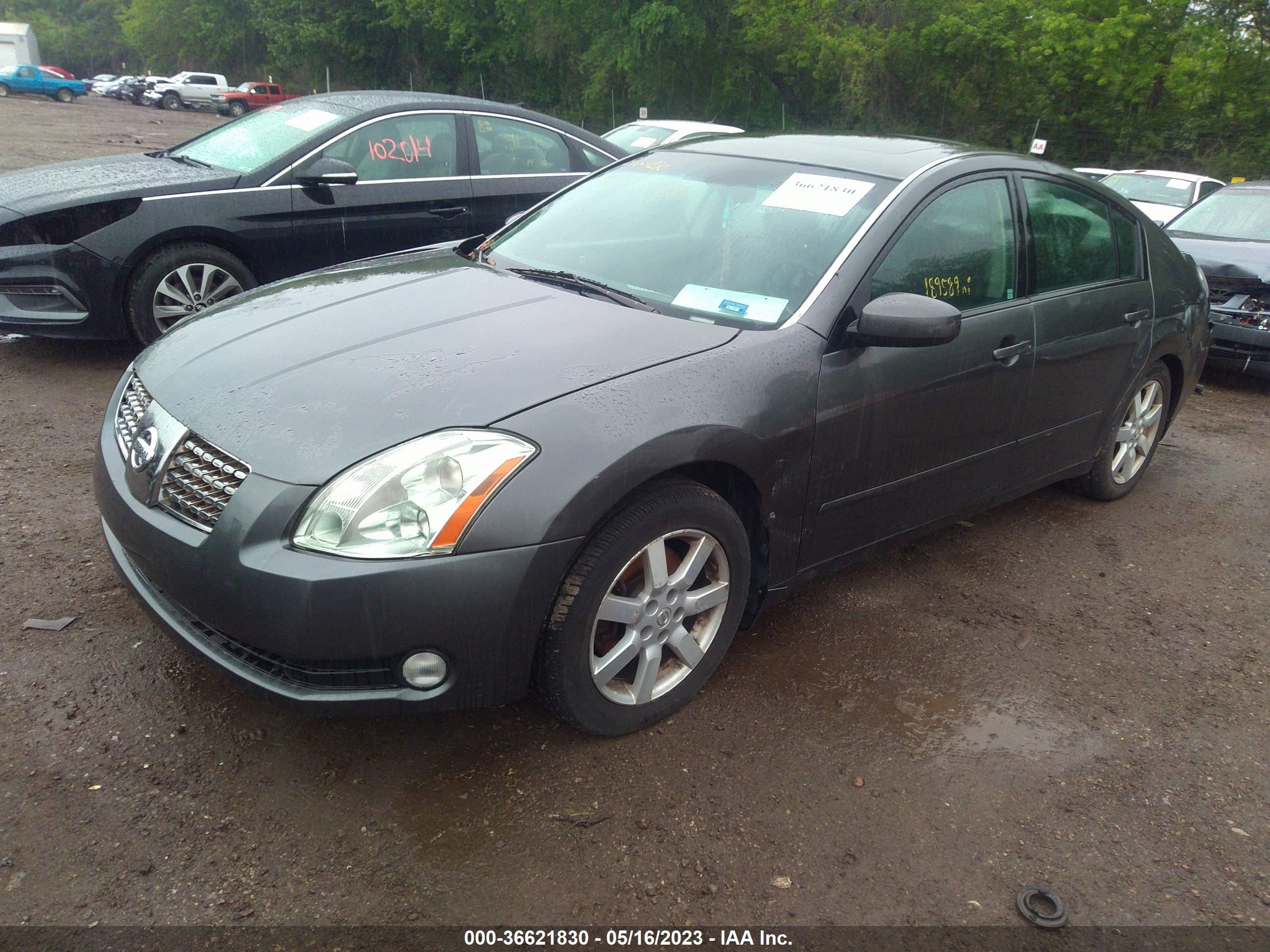 Photo 1 VIN: 1N4BA41E35C827784 - NISSAN MAXIMA 