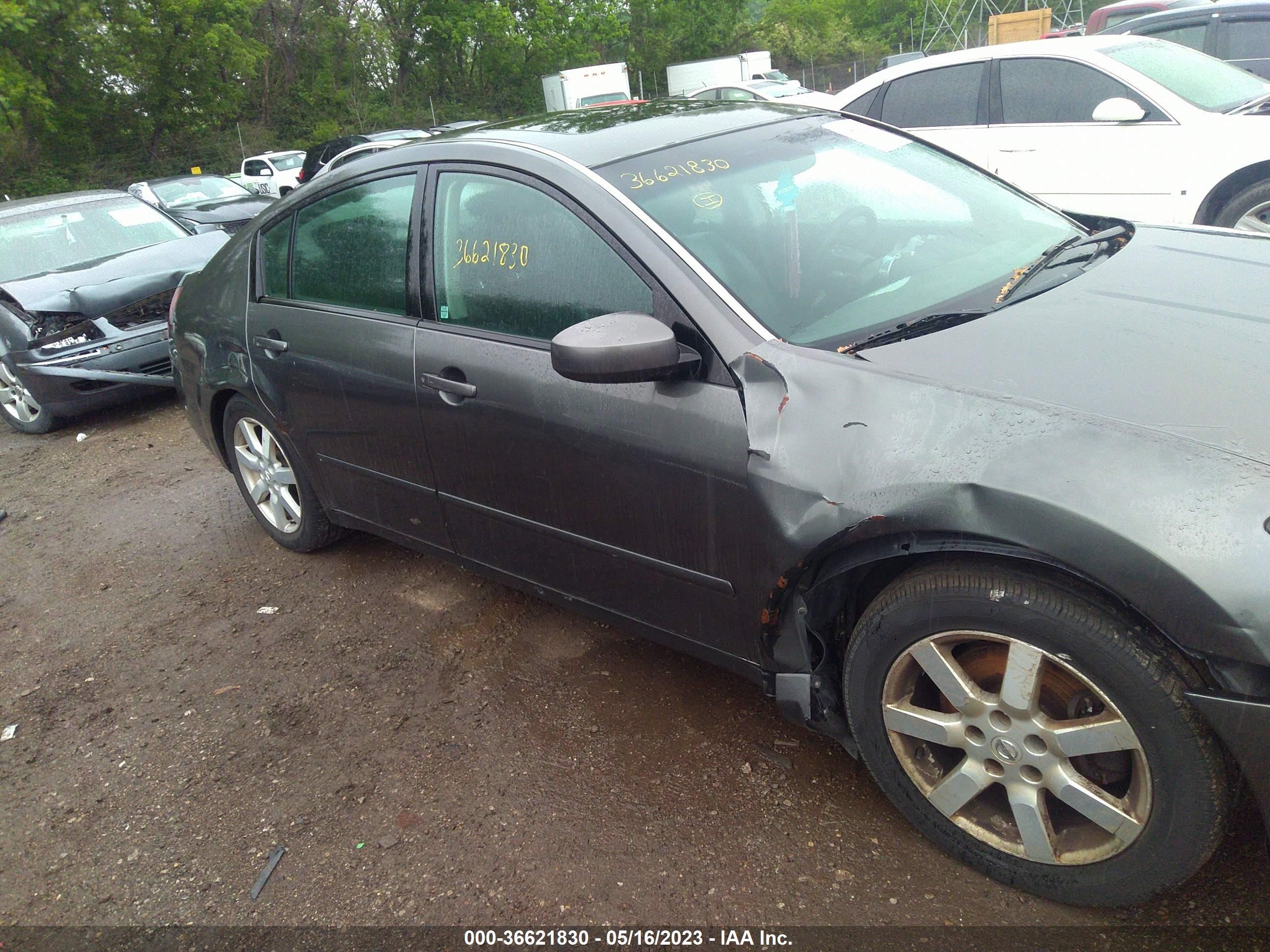 Photo 5 VIN: 1N4BA41E35C827784 - NISSAN MAXIMA 