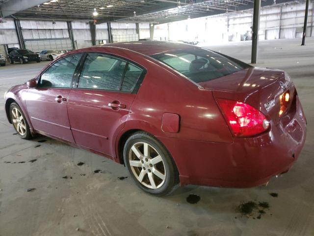 Photo 1 VIN: 1N4BA41E35C831575 - NISSAN MAXIMA 