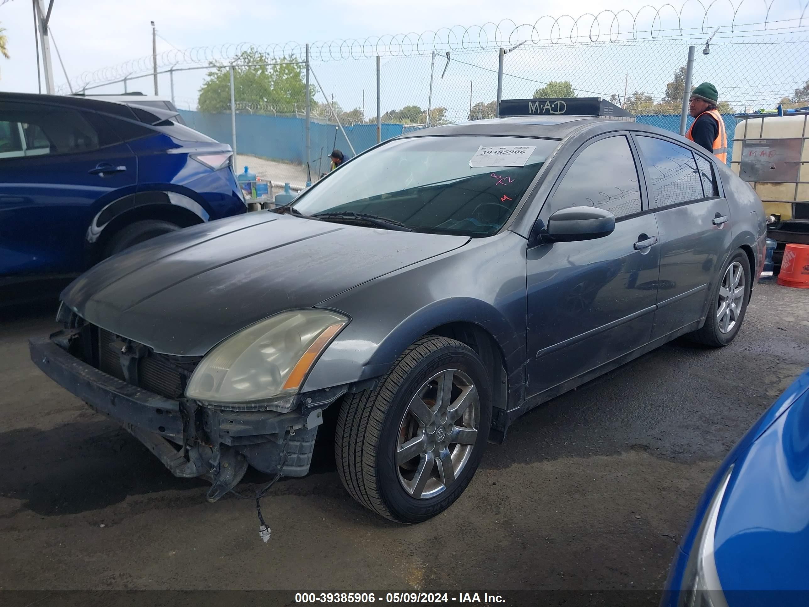 Photo 1 VIN: 1N4BA41E36C812736 - NISSAN MAXIMA 