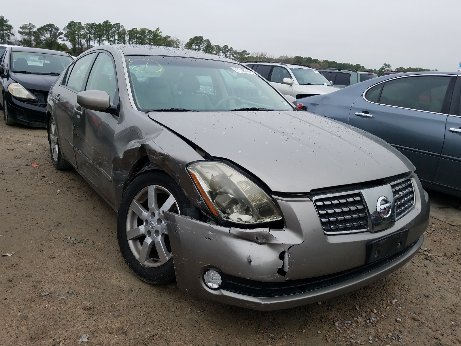 Photo 0 VIN: 1N4BA41E44C857505 - NISSAN MAXIMA SE 