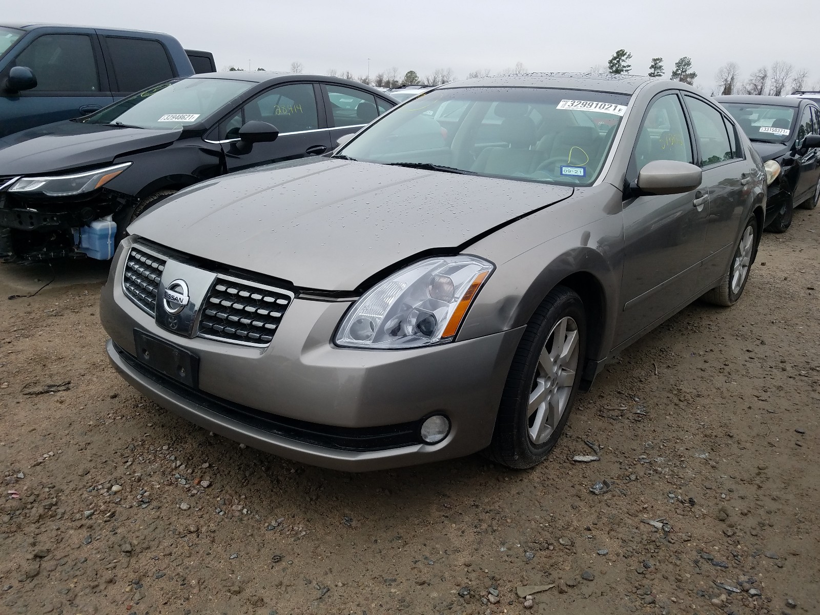 Photo 1 VIN: 1N4BA41E44C857505 - NISSAN MAXIMA SE 