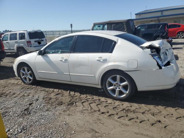 Photo 1 VIN: 1N4BA41E46C834230 - NISSAN MAXIMA SE 