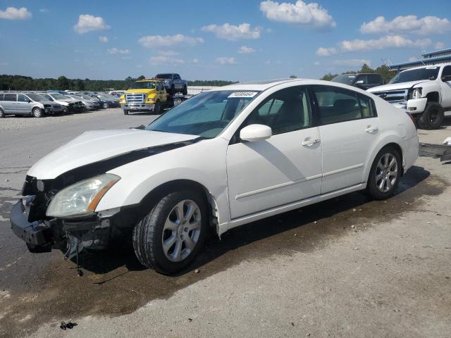 Photo 0 VIN: 1N4BA41E47C846167 - NISSAN MAXIMA SE 