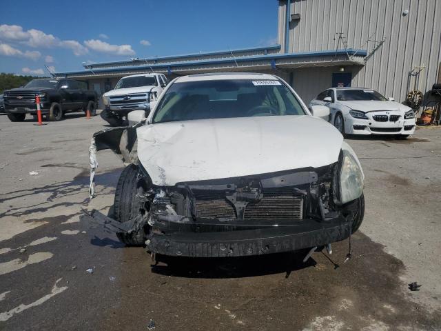 Photo 4 VIN: 1N4BA41E47C846167 - NISSAN MAXIMA SE 