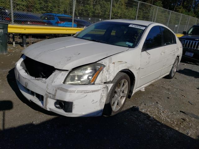 Photo 1 VIN: 1N4BA41E47C863101 - NISSAN MAXIMA SE 