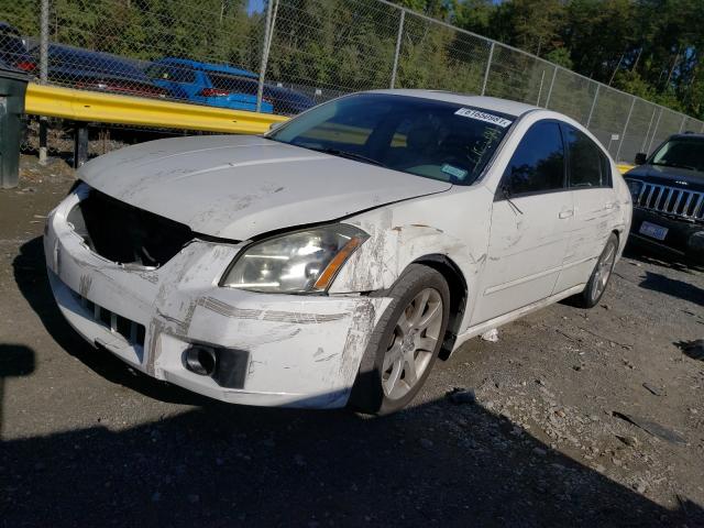 Photo 8 VIN: 1N4BA41E47C863101 - NISSAN MAXIMA SE 