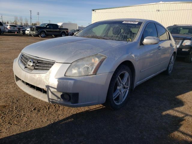 Photo 1 VIN: 1N4BA41E48C805216 - NISSAN MAXIMA SE 