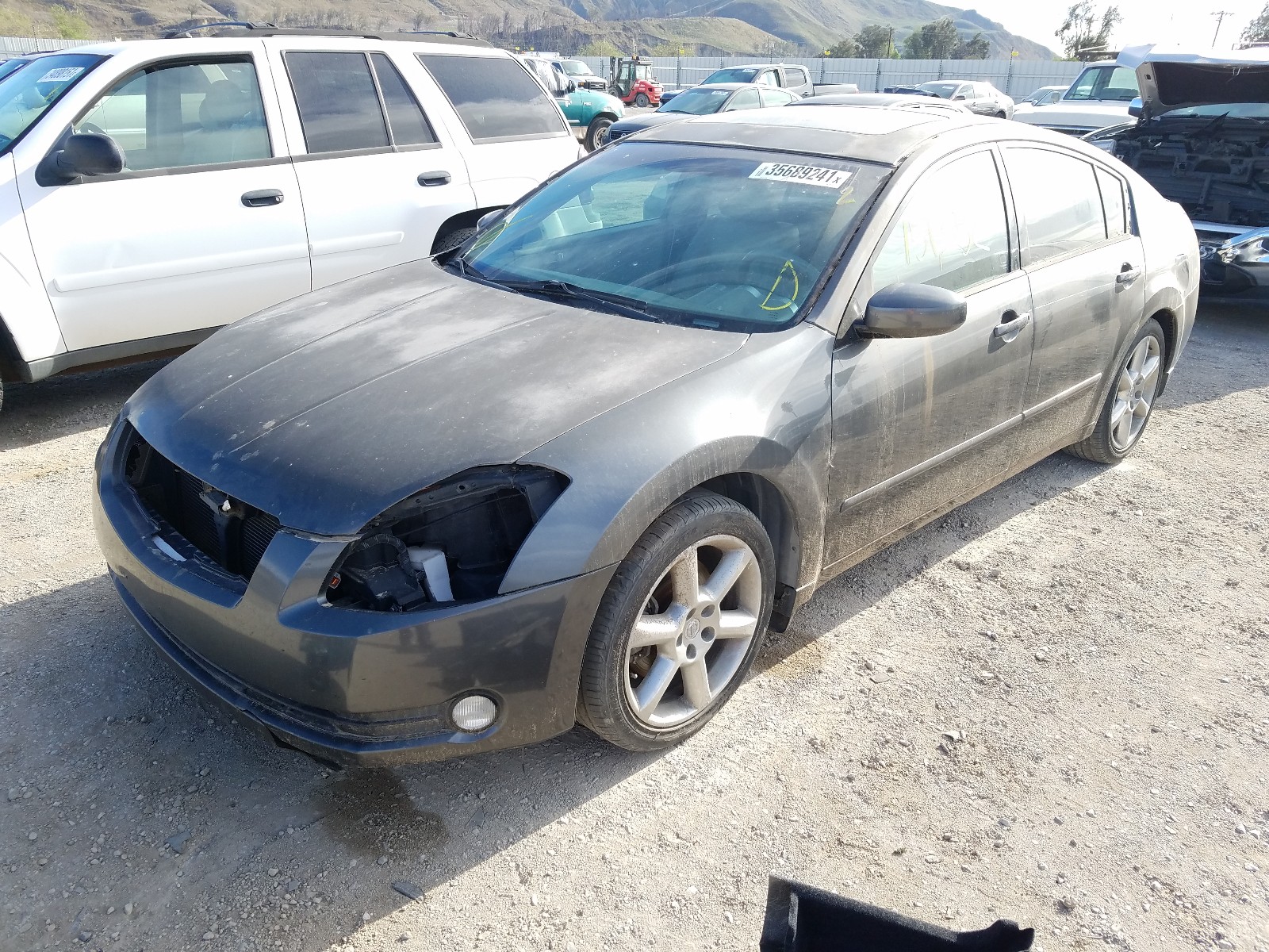 Photo 1 VIN: 1N4BA41E56C803164 - NISSAN MAXIMA SE 