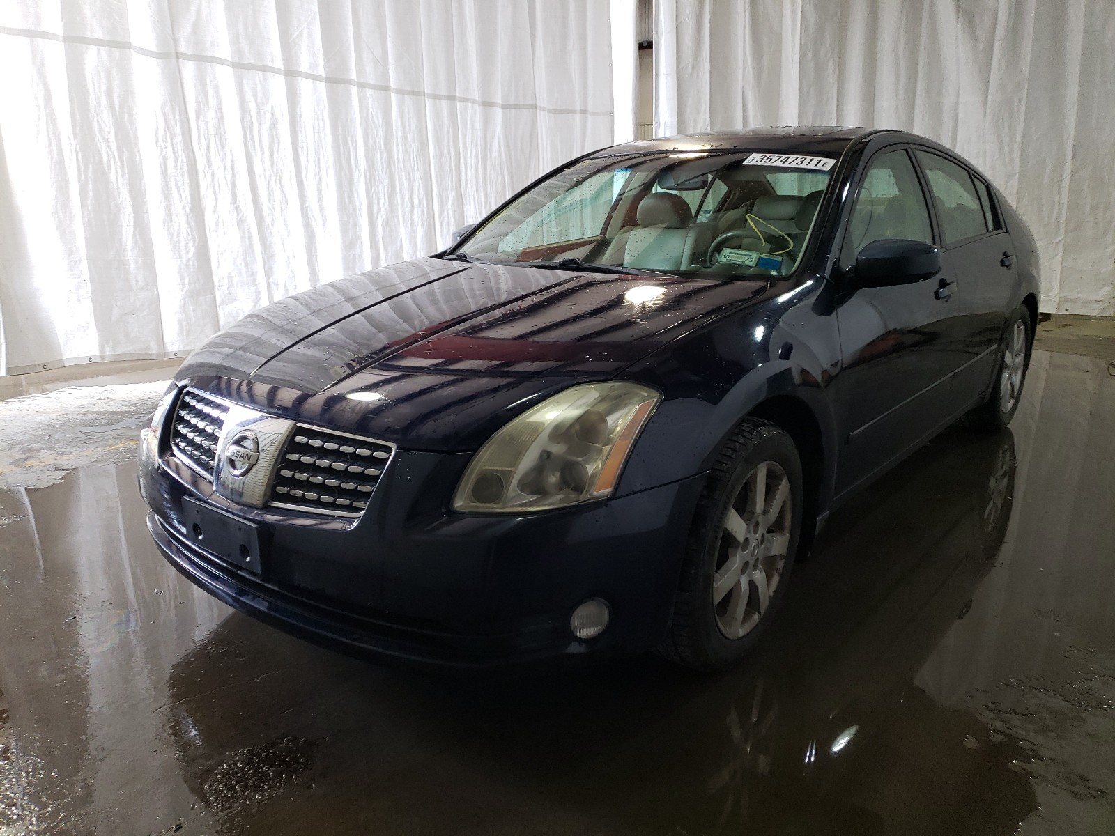 Photo 1 VIN: 1N4BA41E56C842451 - NISSAN MAXIMA SE 