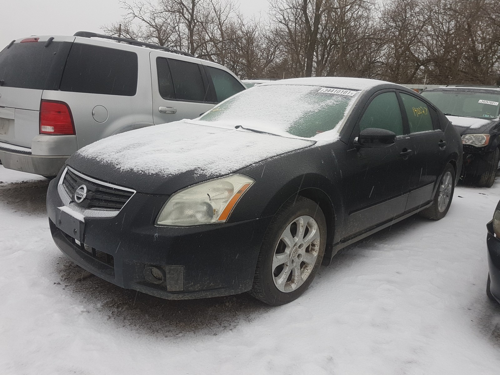 Photo 1 VIN: 1N4BA41E57C851796 - NISSAN MAXIMA SE 