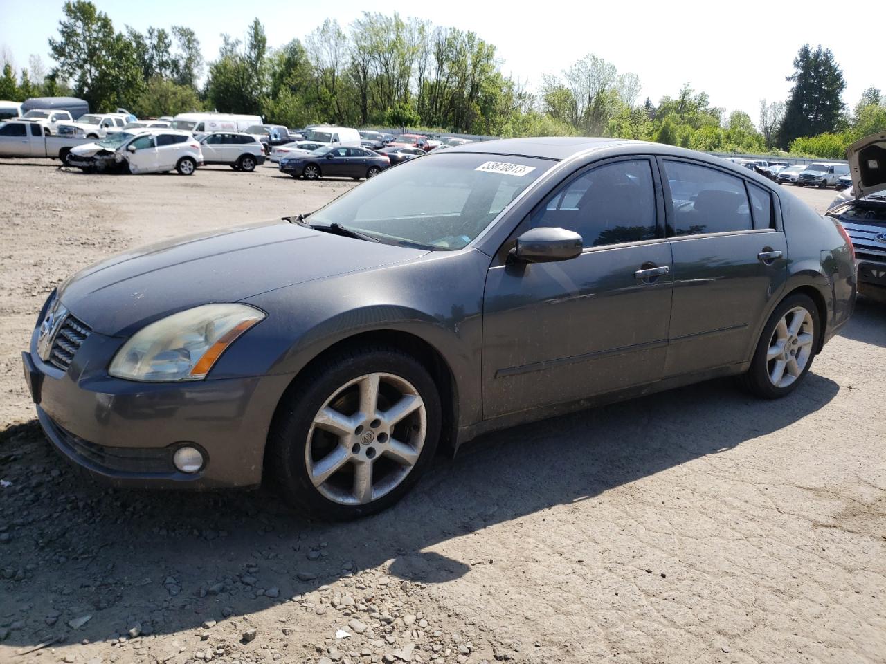 Photo 0 VIN: 1N4BA41E64C900015 - NISSAN MAXIMA 