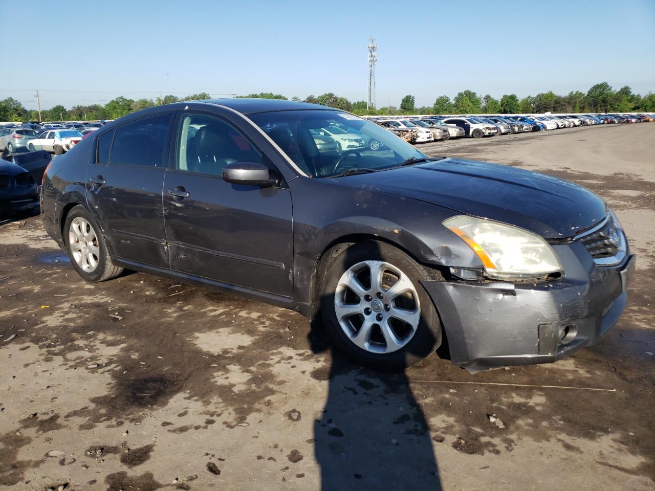 Photo 3 VIN: 1N4BA41E67C845022 - NISSAN MAXIMA 