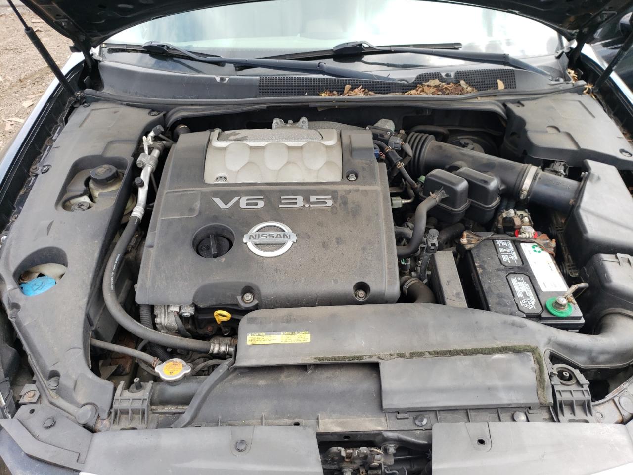 Photo 10 VIN: 1N4BA41E67C859695 - NISSAN MAXIMA 