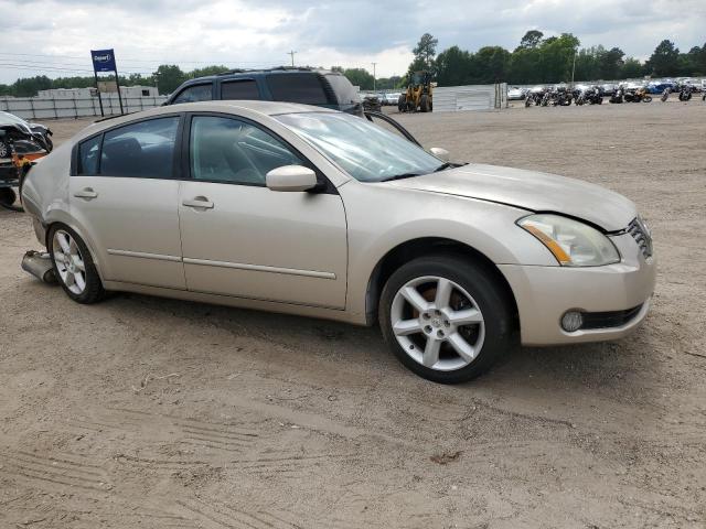 Photo 3 VIN: 1N4BA41E75C810356 - NISSAN MAXIMA 