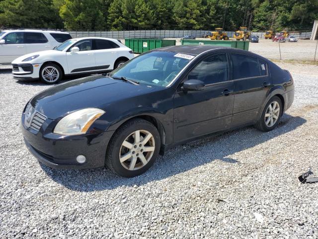 Photo 0 VIN: 1N4BA41E75C820000 - NISSAN MAXIMA SE 