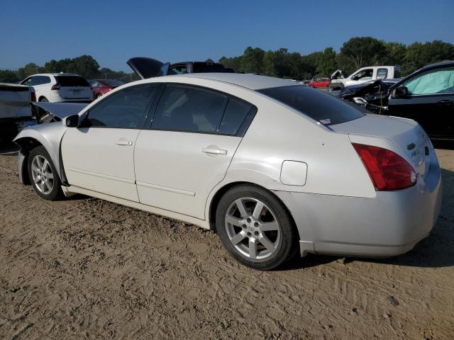 Photo 1 VIN: 1N4BA41E76C819995 - NISSAN MAXIMA SE 