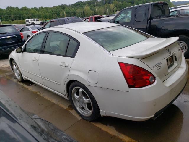 Photo 1 VIN: 1N4BA41E77C844266 - NISSAN MAXIMA SE 