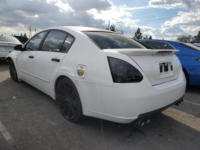 Photo 1 VIN: 1N4BA41E85C842359 - NISSAN MAXIMA 