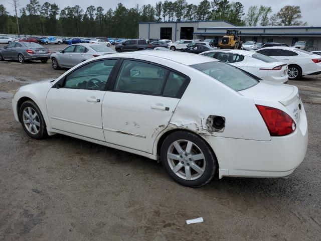 Photo 1 VIN: 1N4BA41E85C857170 - NISSAN MAXIMA 