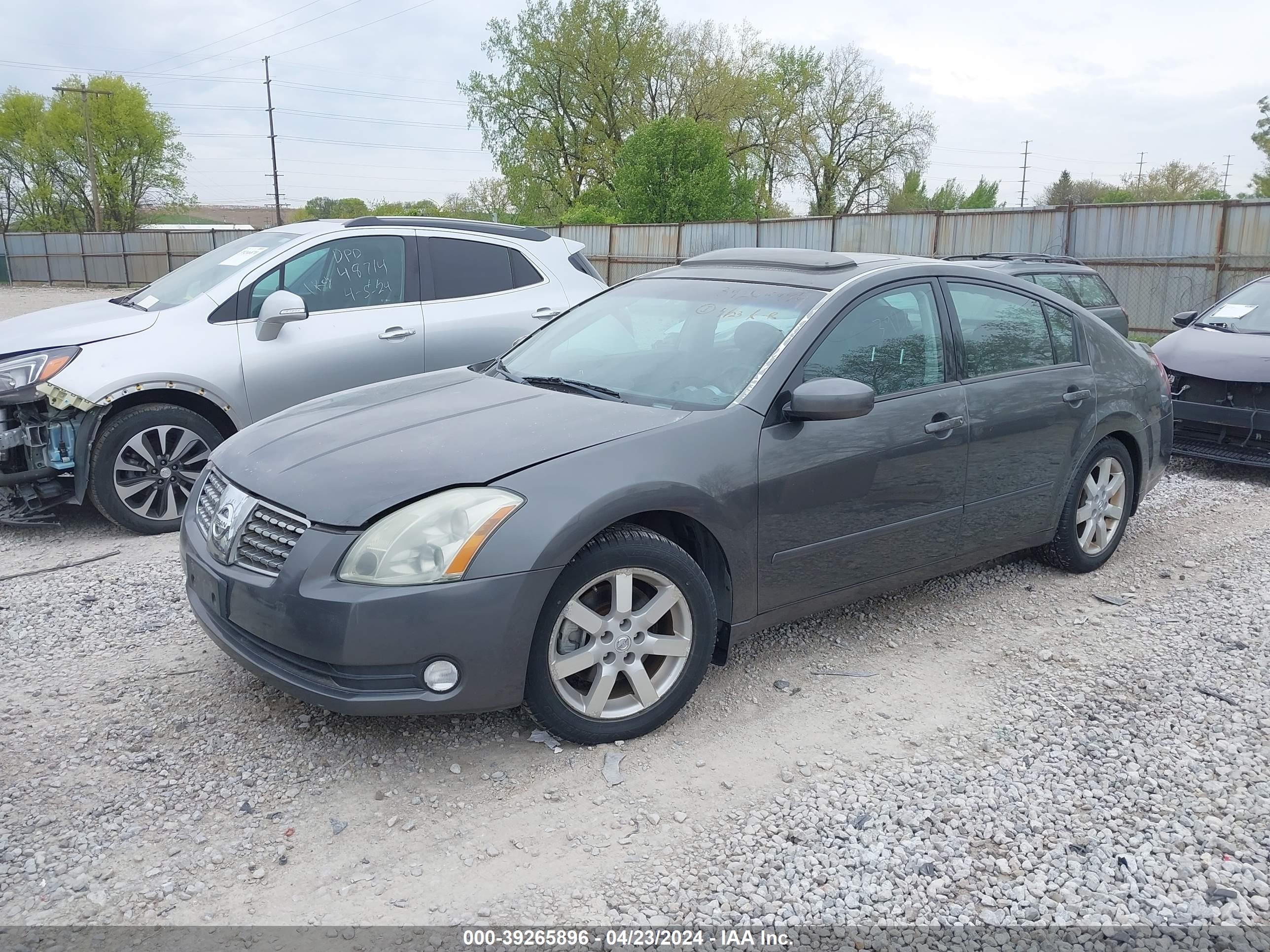 Photo 1 VIN: 1N4BA41E86C836496 - NISSAN MAXIMA 