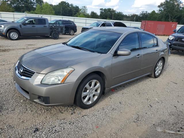 Photo 0 VIN: 1N4BA41E88C834248 - NISSAN MAXIMA SE 