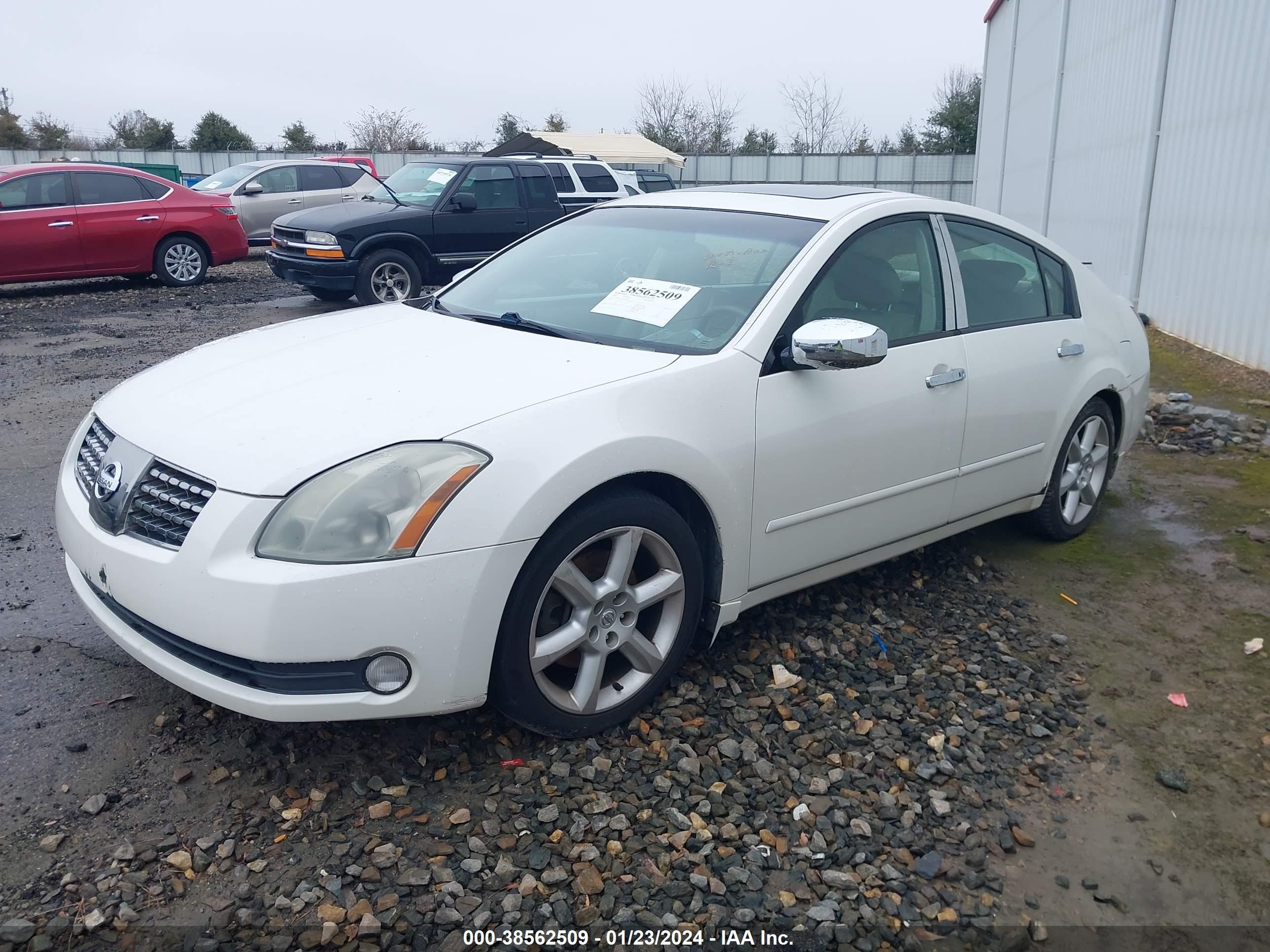 Photo 1 VIN: 1N4BA41E94C851604 - NISSAN MAXIMA 