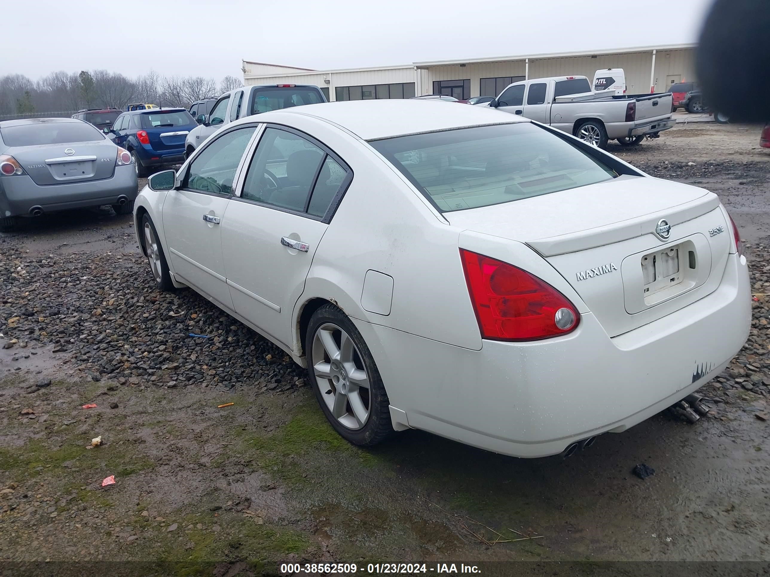 Photo 2 VIN: 1N4BA41E94C851604 - NISSAN MAXIMA 