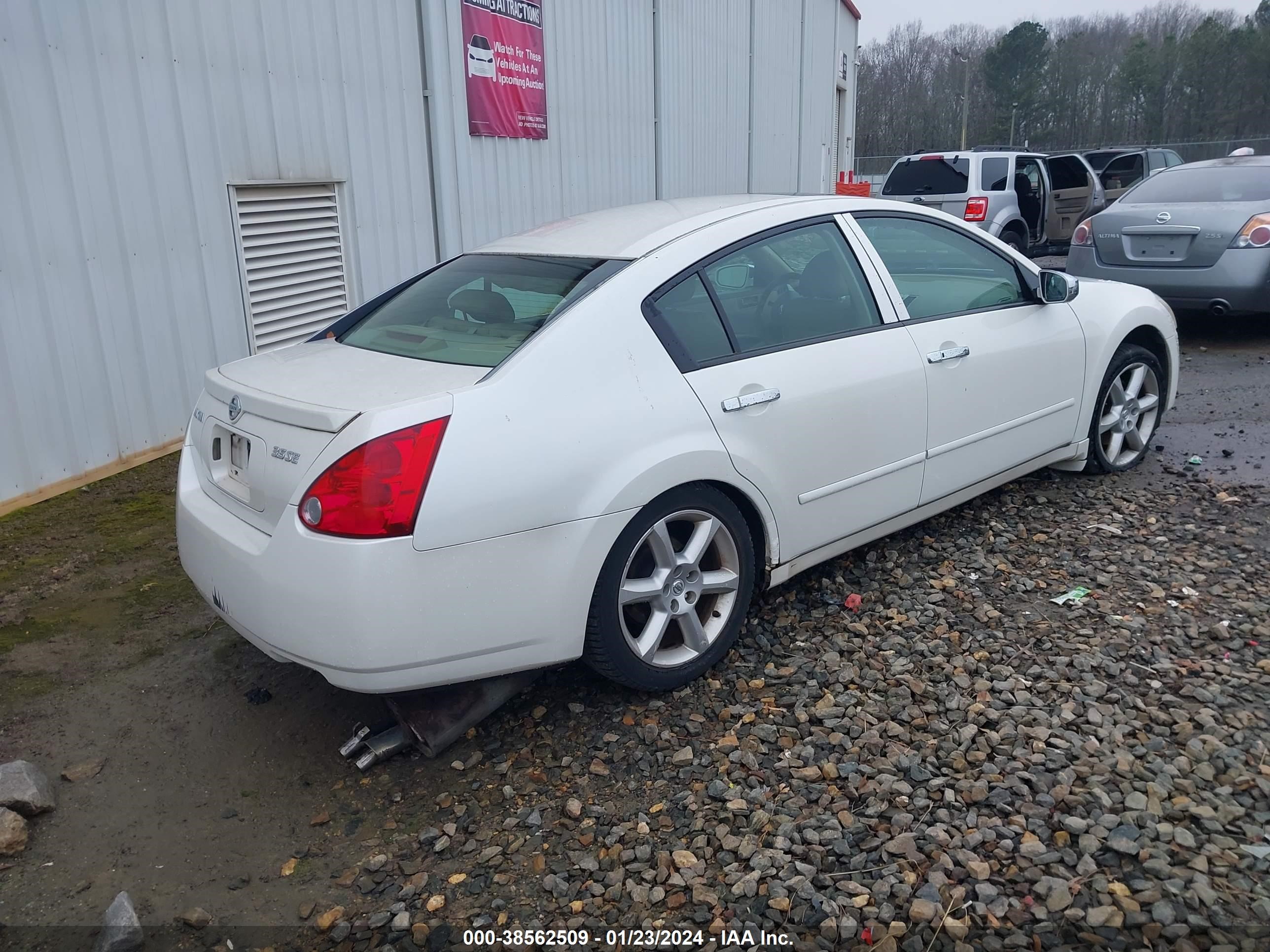 Photo 3 VIN: 1N4BA41E94C851604 - NISSAN MAXIMA 