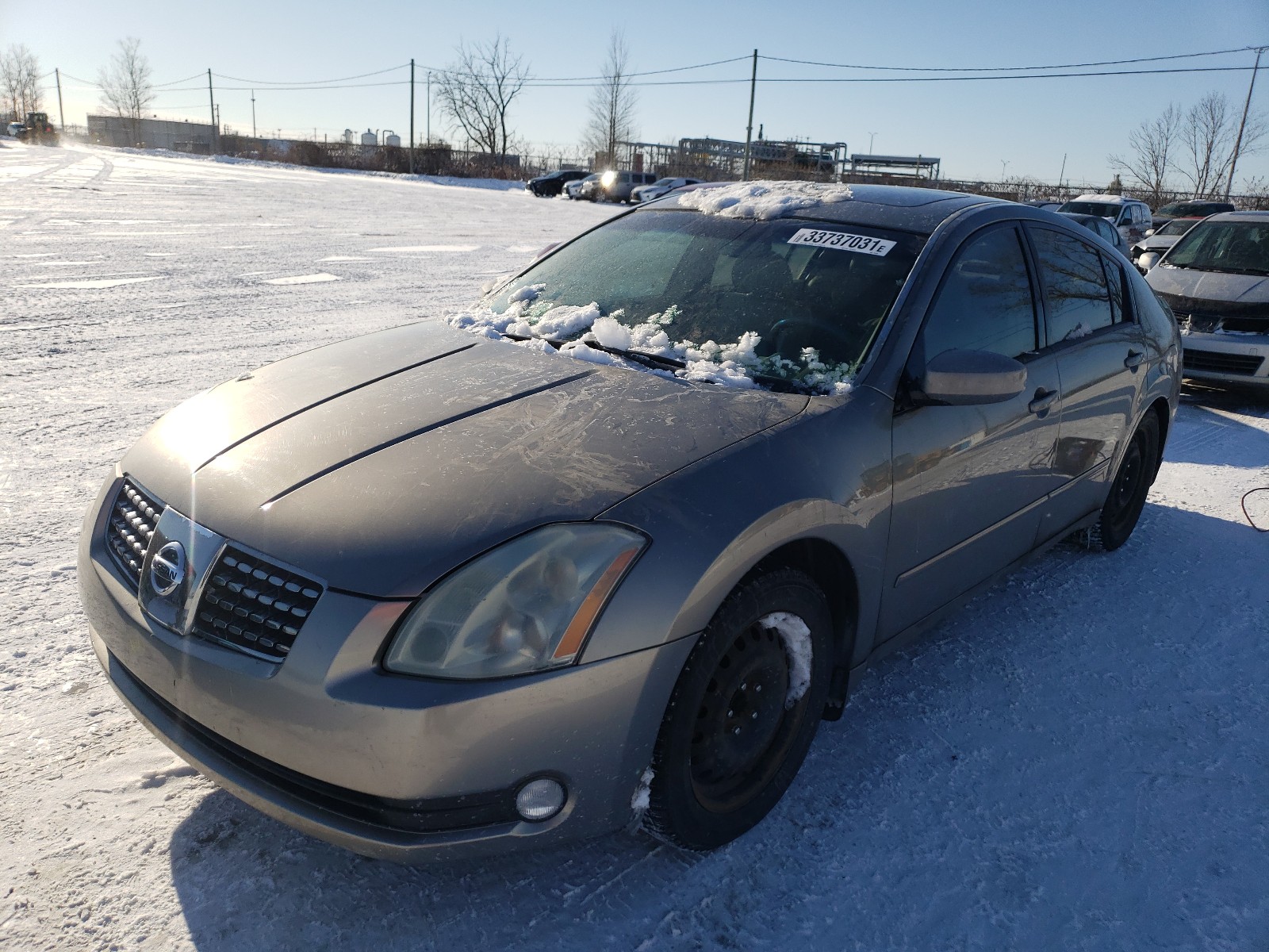 Photo 1 VIN: 1N4BA41E96C838659 - NISSAN MAXIMA SE 