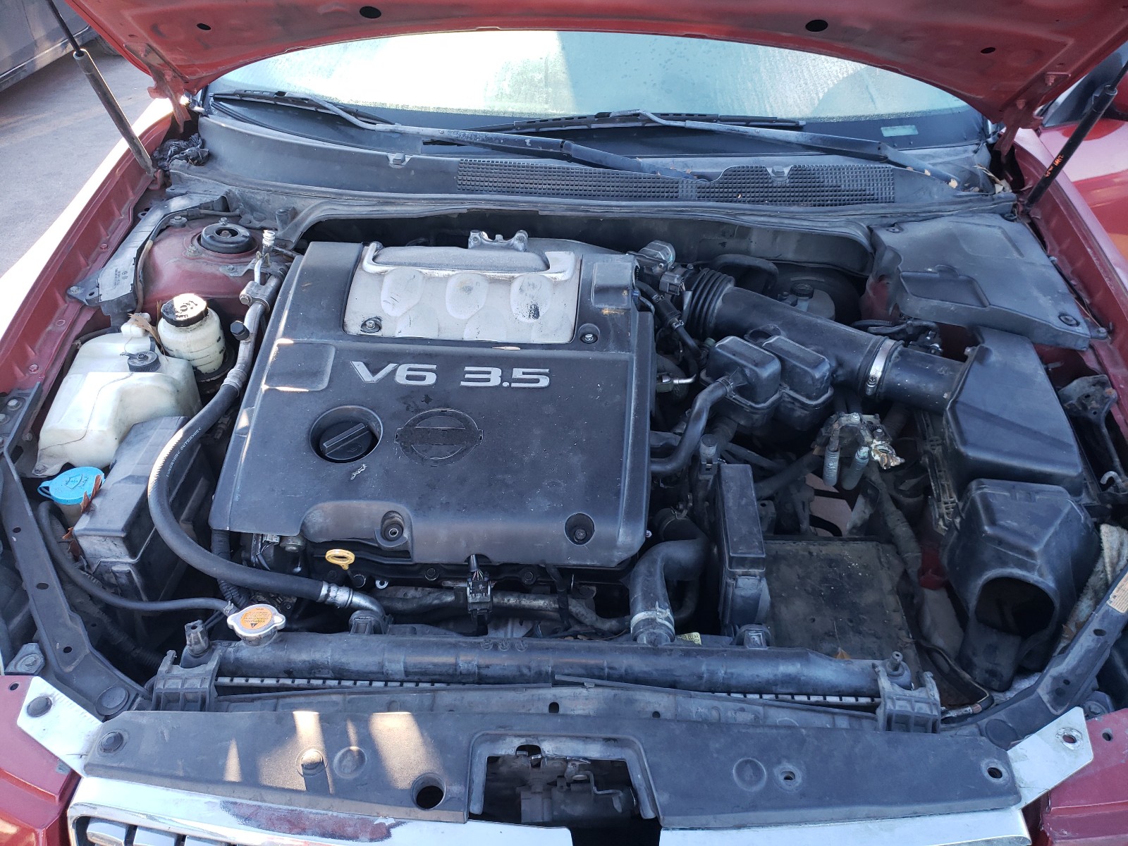 Photo 6 VIN: 1N4BA41E96C846972 - NISSAN MAXIMA SE 